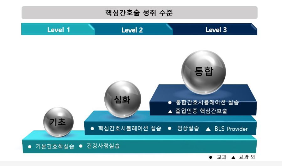핵심간호술 성취수준